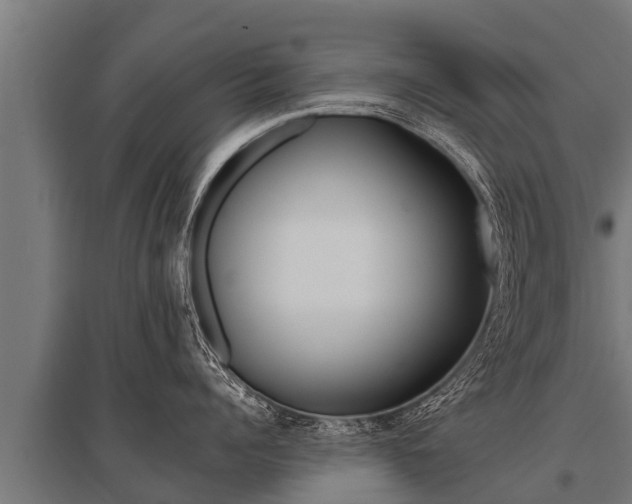 X0000096140960200801180849