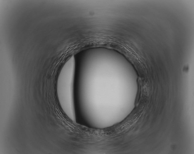 X0000096140961200801180848