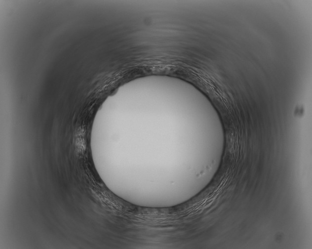 X0000096140962200801180848