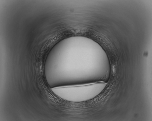 X0000096140963200801180848