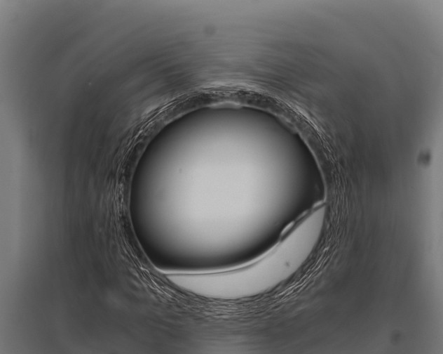 X0000096140965200801180848