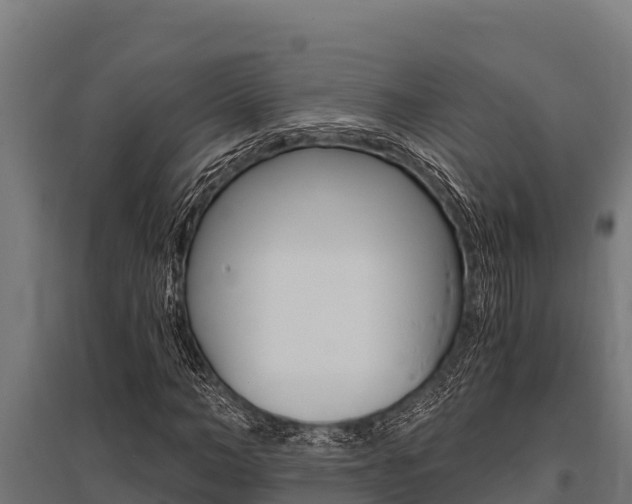 X0000096140966200801180848