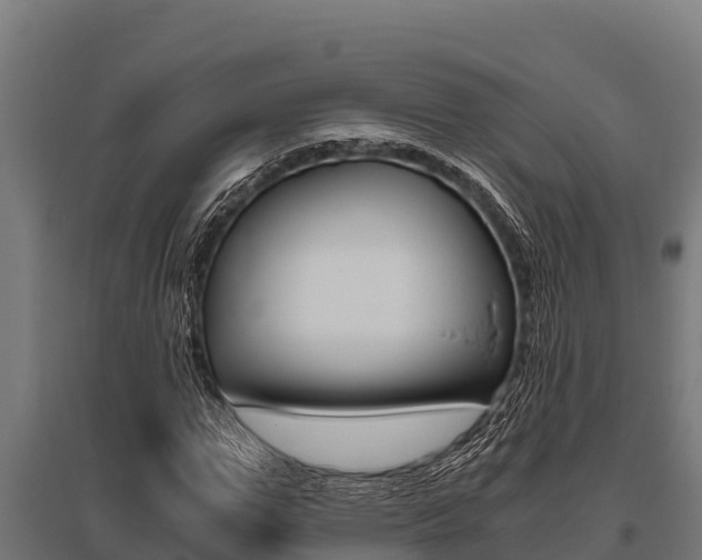 X0000096140967200801180848