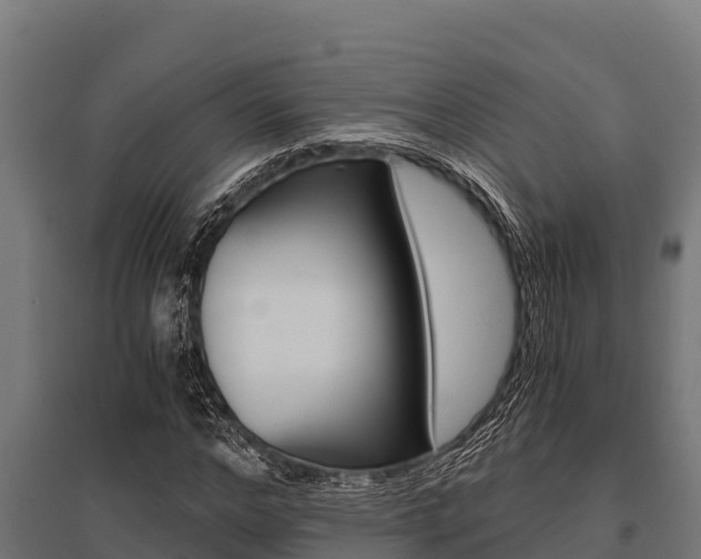 X0000096140968200801180848