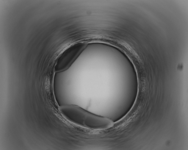X0000096140969200801180848
