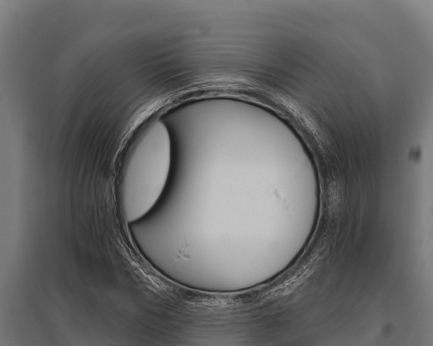 X0000096140970200801180848