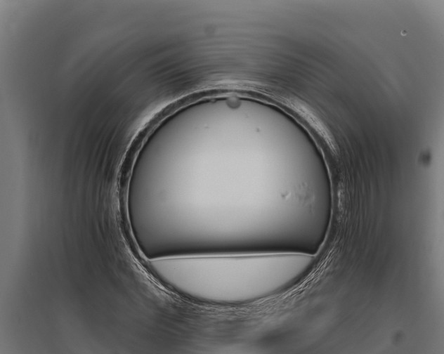 X0000096140972200801180848