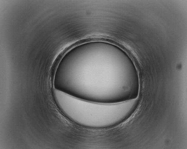 X0000096140973200801180848