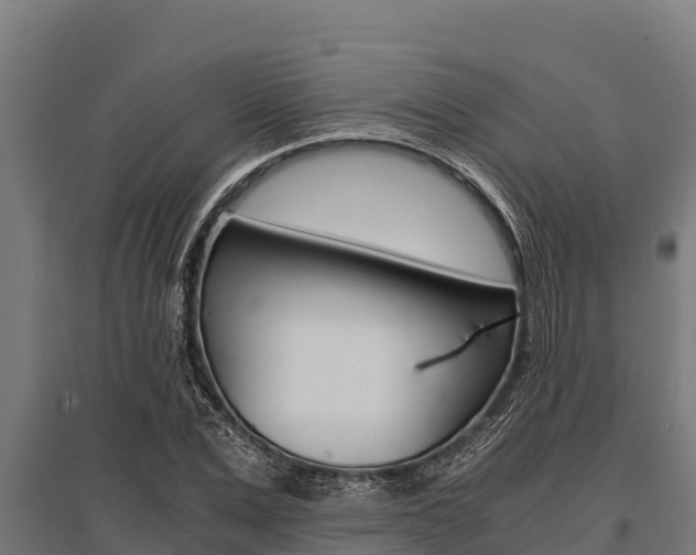 X0000096140975200801180848
