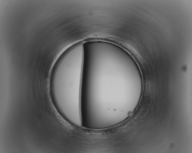 X0000096140976200801180848
