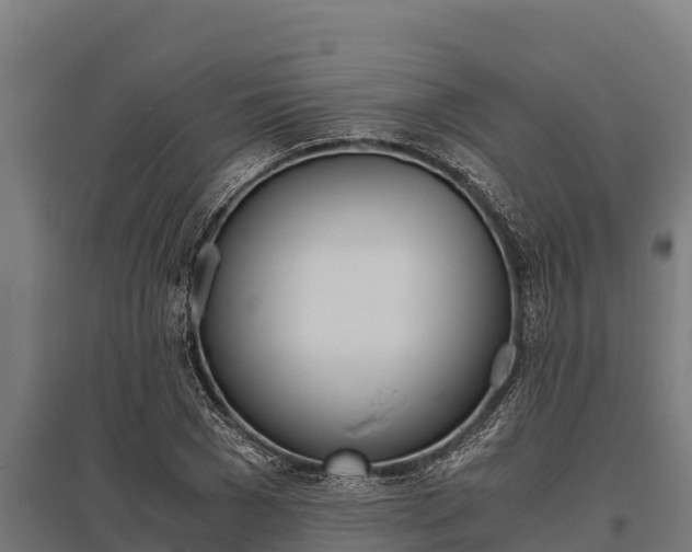 X0000096140977200801180848