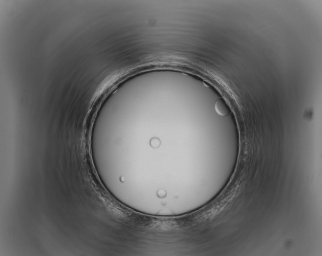 X0000096140978200801180848