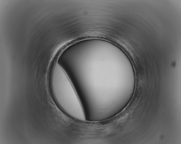 X0000096140979200801180848