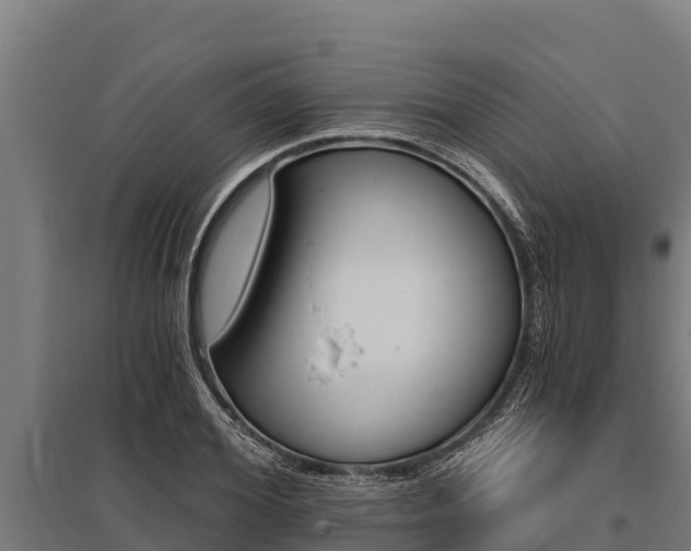 X0000096140980200801180848
