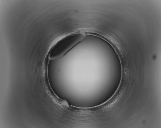 X0000096140981200801180848