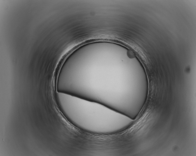 X0000096140982200801180848