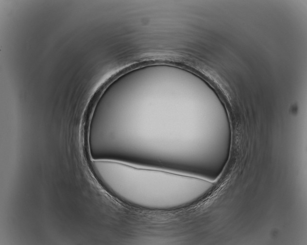 X0000096140983200801180848