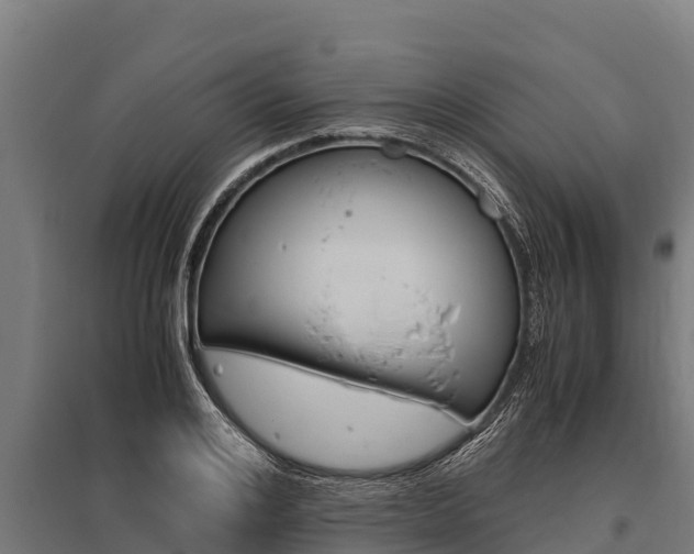 X0000096140984200801180848