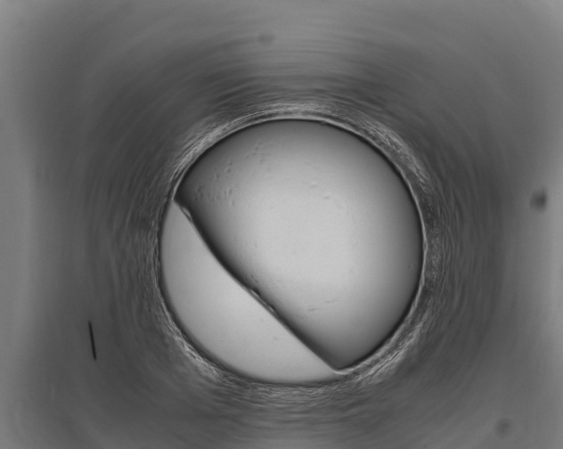 X0000096140985200801180848