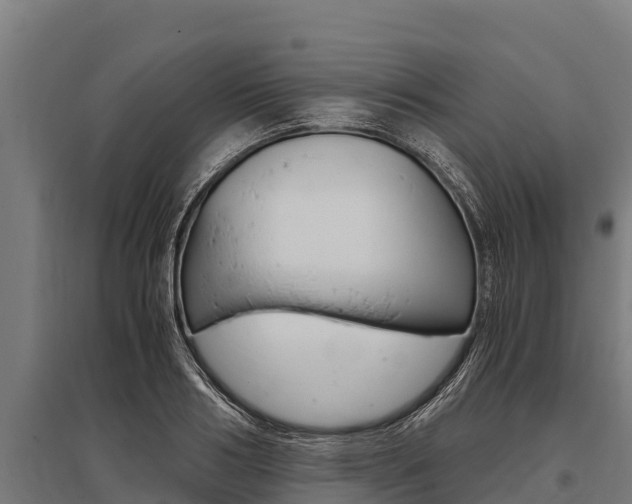 X0000096140986200801180848