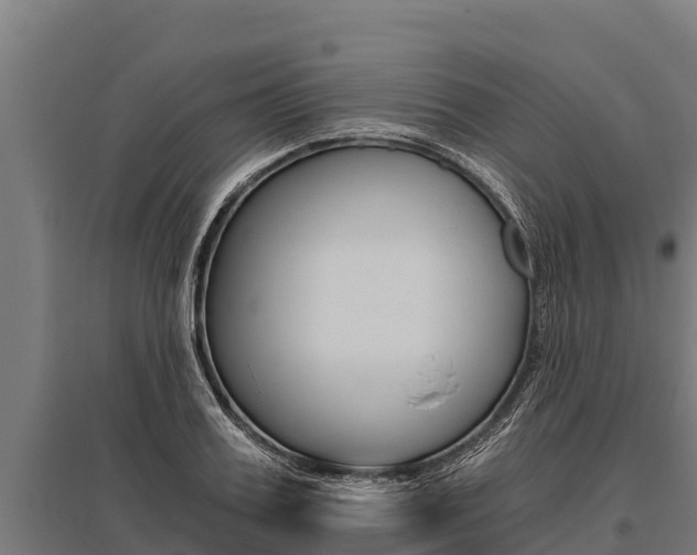 X0000096140987200801180848