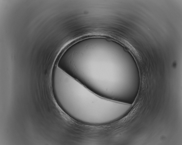 X0000096140988200801180848