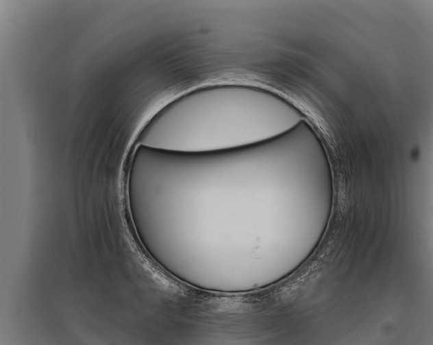 X0000096140990200801180848