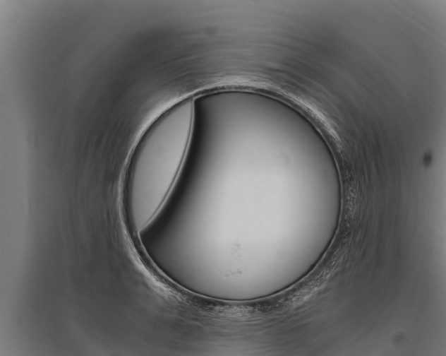 X0000096140991200801180848