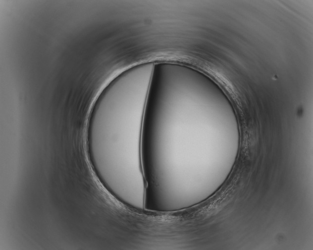 X0000096140992200801180848