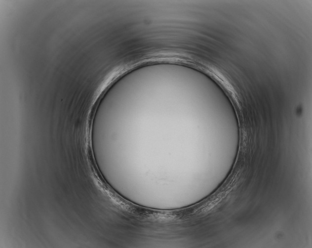 X0000096140994200801180848
