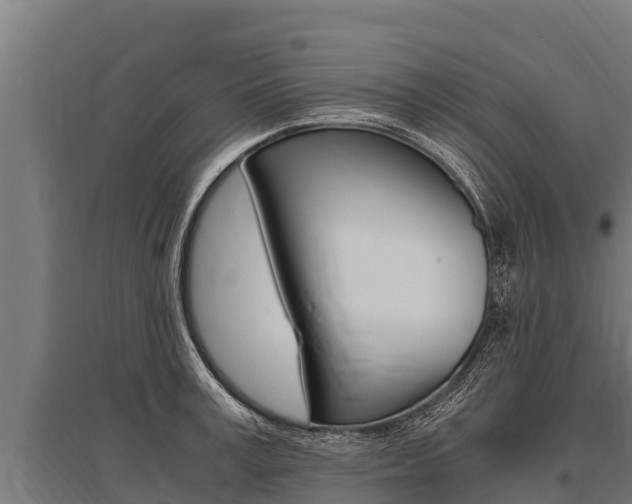 X0000096140995200801180848
