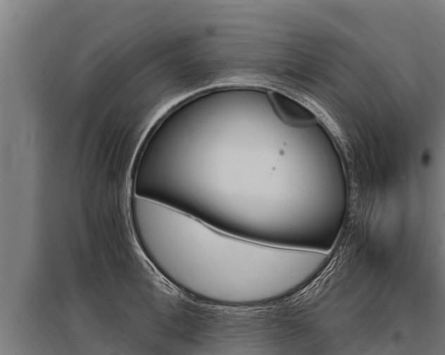 X0000096140996200801180848