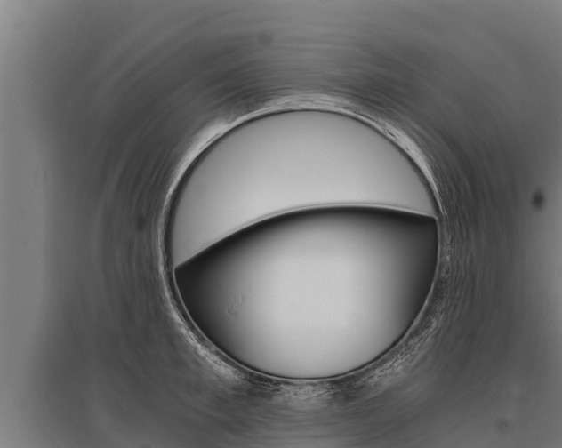 X0000096140997200801180848