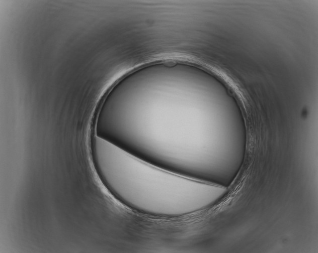 X0000096140999200801180848