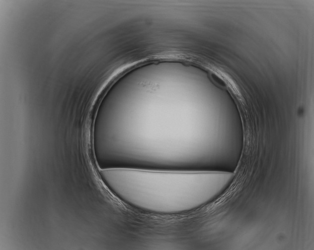X0000096141000200801180848