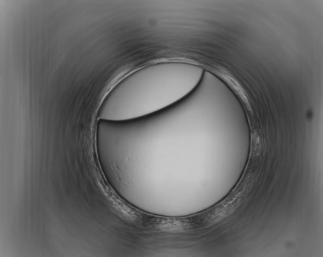 X0000096141002200801180848