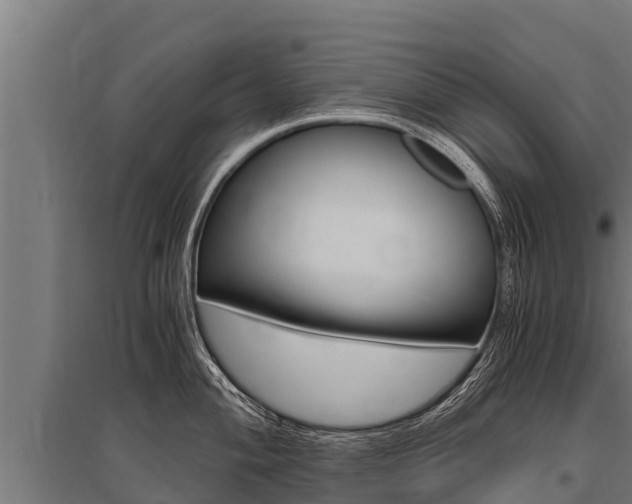 X0000096141004200801180848