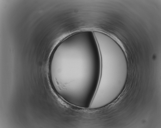 X0000096141005200801180848