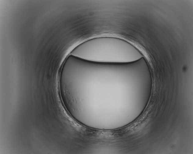 X0000096141006200801180848