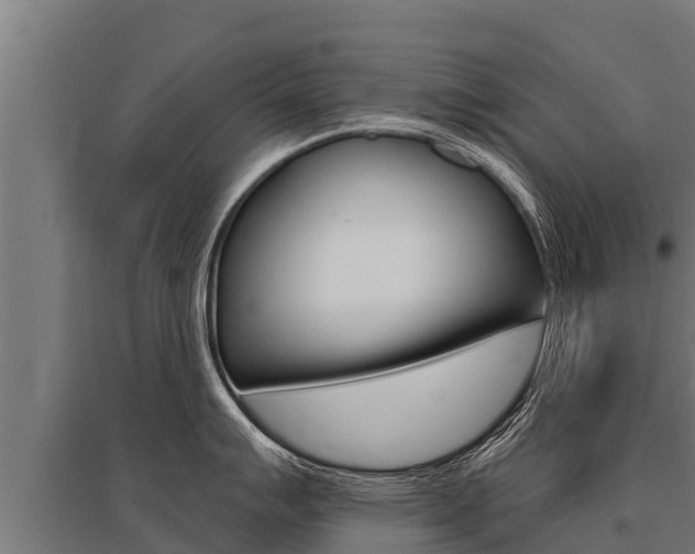 X0000096141007200801180847