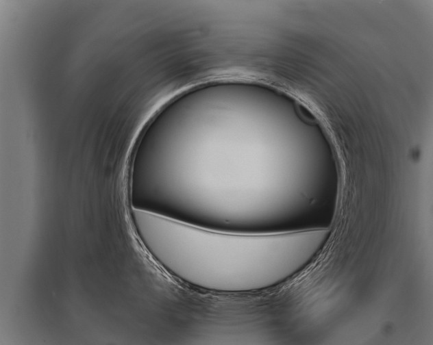 X0000096141008200801180847