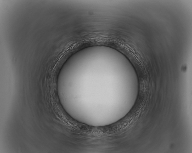X0000096141009200801180847