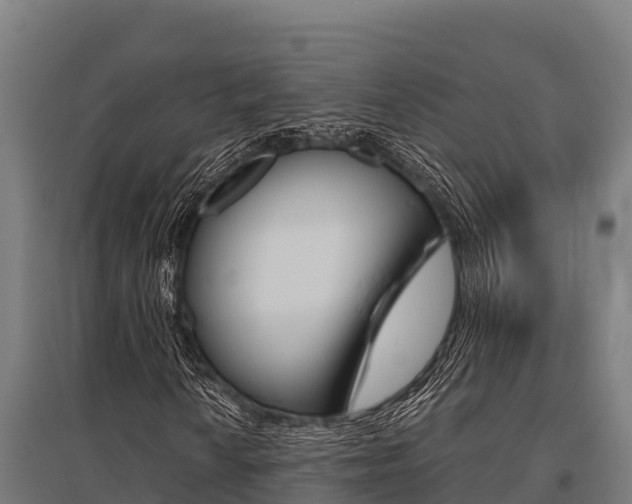 X0000096141010200801180847