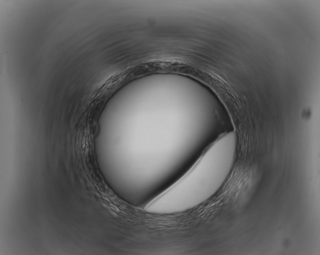 X0000096141014200801180847