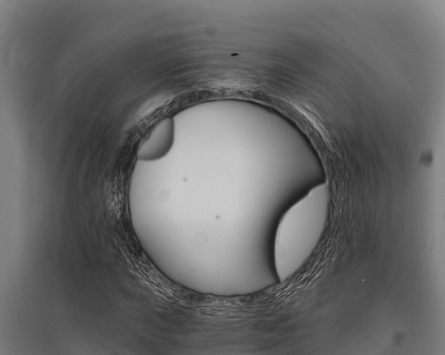 X0000096141015200801180847
