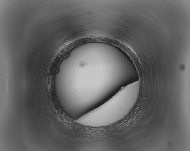 X0000096141016200801180847
