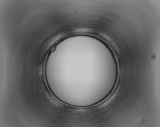 X0000096141017200801180847