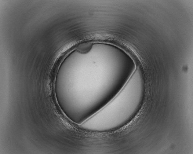 X0000096141018200801180847