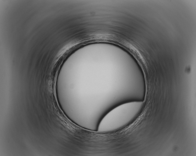 X0000096141019200801180847