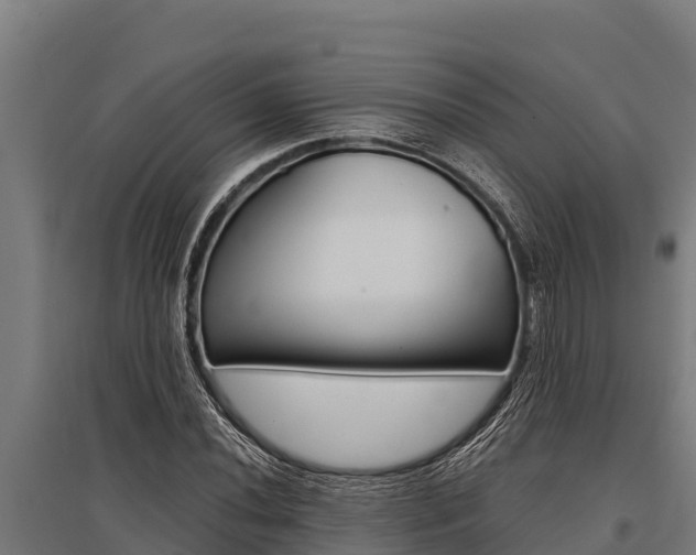 X0000096141020200801180847